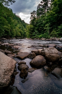 A creek at Sunset in the Smokey Mountains National Park  x