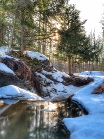 A creek below a beaver dam Frontenac Township Ontario Canada  OC