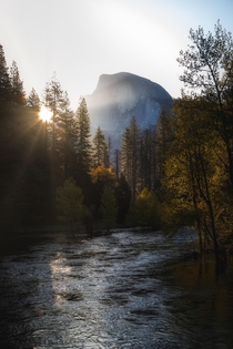 A day in Yosemite continued 