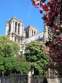 A different view of the Notre Dame Paris 