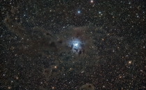 A Dusty Iris in the Sky NGC  