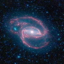 A false-color photograph of NGC  a barred spiral galaxy about  million light-years away in the constellation Fornax The galaxy was discovered by William Herschel on  October  It has a supermassive black hole at its center Photo NASAJPL-Caltech 