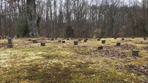 A family cemetery near an abandoned plantation These were unmarked graves at the plot