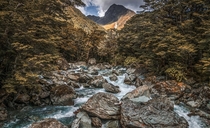 A faraway waterfall flows into the forest - Routeburn Track New Zealand 