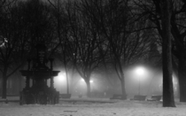 A Foggy Evening in ST Henri Park Montreal QC 