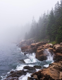 A foggy Maine coastline Acadia National Park 
