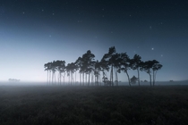 A foggy night in the Belgian savannah 