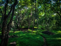 A forested area called Taljai situated in the heart of Pune cityIndia
