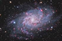 A Galaxy full of nebulous gems The Triangulum galaxy captured by amateur ground based equipment