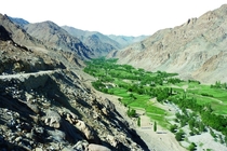 A green valley among the barren hills of Ladakh India - 