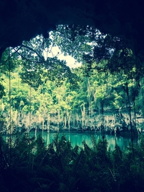 A hidden Lake at the mouth of a cave Los Tres Ojos in the Dominican Republic 