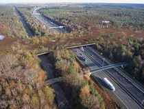 A Highway  Railway Ecoduct near Hilversum The Netherlands 