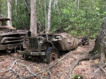A Jeep used by archaeologists excavating Tikal in Guatemala s-s