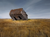A leaning cabin in a Montana field  by Leland Howard