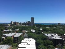 A less common view of Chicago- the Hyde Park neighborhood on the citys South Side facing Lake Michigan to the east 
