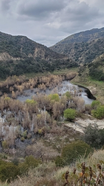 A little lake before reaching San Dimas Dam CA 