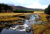 A little stream in Scotland near Loch Muick in Aberdeenshire November  