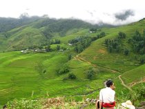 a local Hmong girl sits overlooking the rice fields of of Sapa in rural northern Vietnam  x   OC