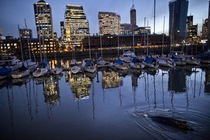A lost whale bottom right swims near boats in an urban marina in Puerto Madero Buenos Aires Argentina on August   Natacha Pisarenko 