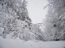 A lot of Snow in Finland Now  Taken by Fredrik Kldqvist