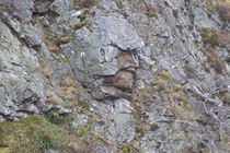A mimetolith is a naturally occurring rock formation that looks like something else Here is the locally famous Roman soldier in the Highlands of Scotland 