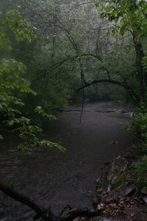 A moody creek during a spring storm Cedar Creek Arkansas 