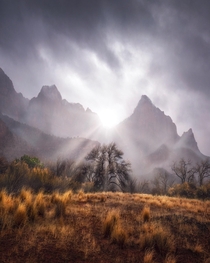 A moody day in Zion National Park Utah 
