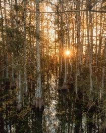 A mountainless Everglades National Park Florida 