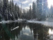 A much smaller piece of Emerald Lake in the winter BC  
