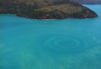 A natural ocean swirl taken from a seaplane near Whitehaven Australia  photo by Vincent Archer