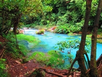A natural sulfur leak in a Costa Rican jungle Photographer Isa Ferrell 