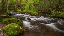 A peaceful stream in the North Carolina Smokies 