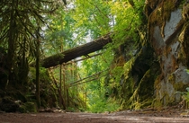 A Peaceful Trail Hope BC Canada 
