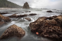 A picture from one of my favorite beaches Rialto Beach in Olympic National Park WA 