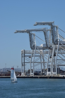 A popular myth in Oakland is that shipping cranes in the city inspired the AT-ATs in Star Wars OCx