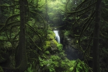 A rainy summers day in the lush rainforests of the PNW Cypress Falls BC  tristantodd