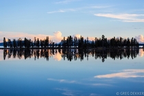 A reflected treeline on a very flooded Pelican Creek in Yellowstone National Park 