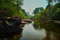 A river deep in the jungle in the Koh Kong region Cambodia 