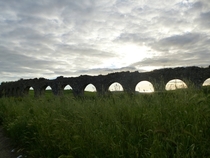 A Roman aqueduct near Tarquinia Italy 