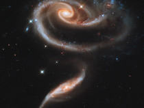 A Rose Made From Galaxies 