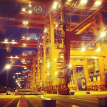 A Row of Cranes at Night at the Port of Long Beach taken by me 