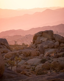 A serene colorful sunrise over magnificent rocks and boulders in Joshua Tree National Park  liamsearphoto