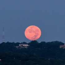 A short timelapse of the supermoon setting over the West Lake Hills in Austin TX seen from Mt Bonnell 