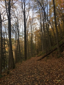 A side trail near Dundas Peak Ontario Canada 