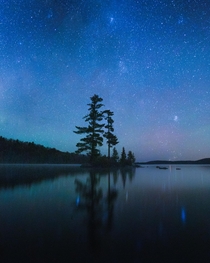 A single exposure shot in the Algonquin Park interior at night  IG mikemarkov