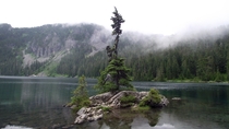A small enchanted island in Mowich Lake near Mt Rainier National Park WA State USA 