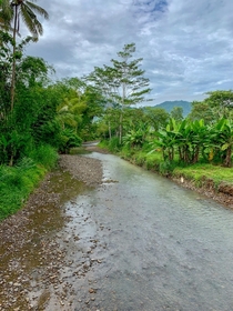A small river with green surrounding not far from Borobudur Temple Indonesia Took this picture during a morning jog 