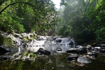 A small waterfall tucked away in the rainforest of borneo Maylasia OC resolution 
