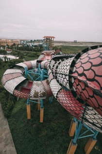 A Snake Slide in an Abandoned Water Park 