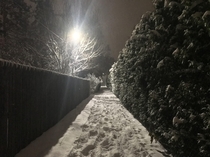 a snowy path in suburban michigan
